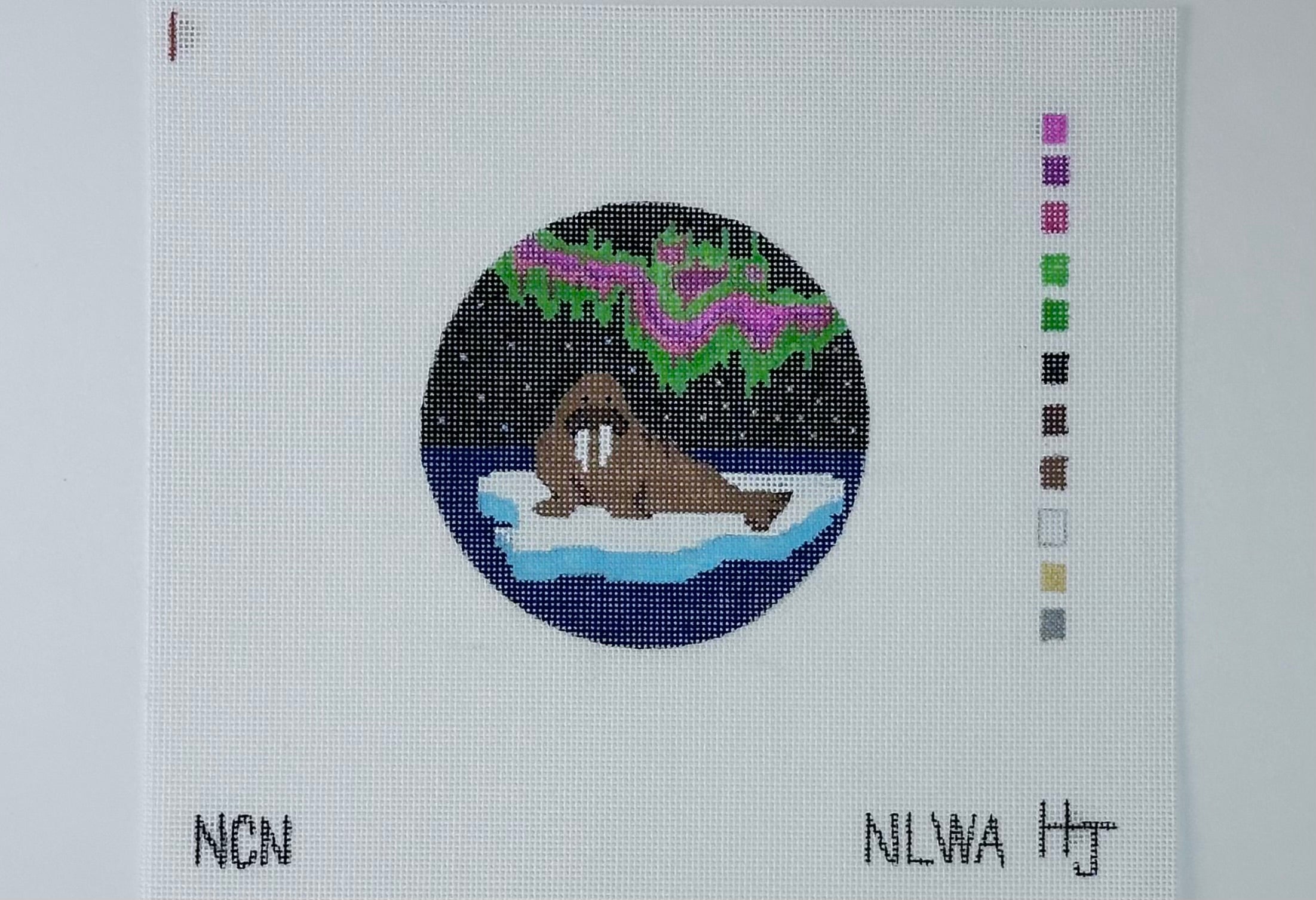 Northern Lights with Walrus
