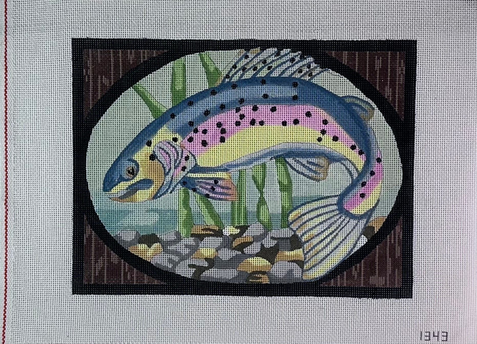 Rainbow Trout